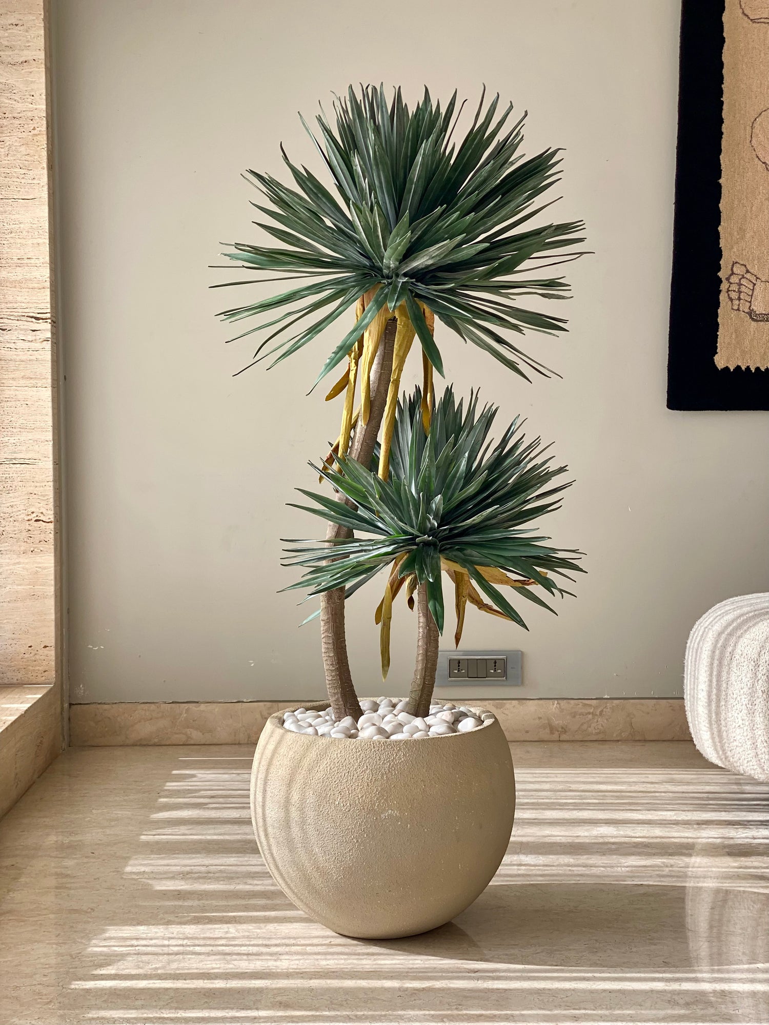 Artificial Sisal Duo Plant - 4 Feet