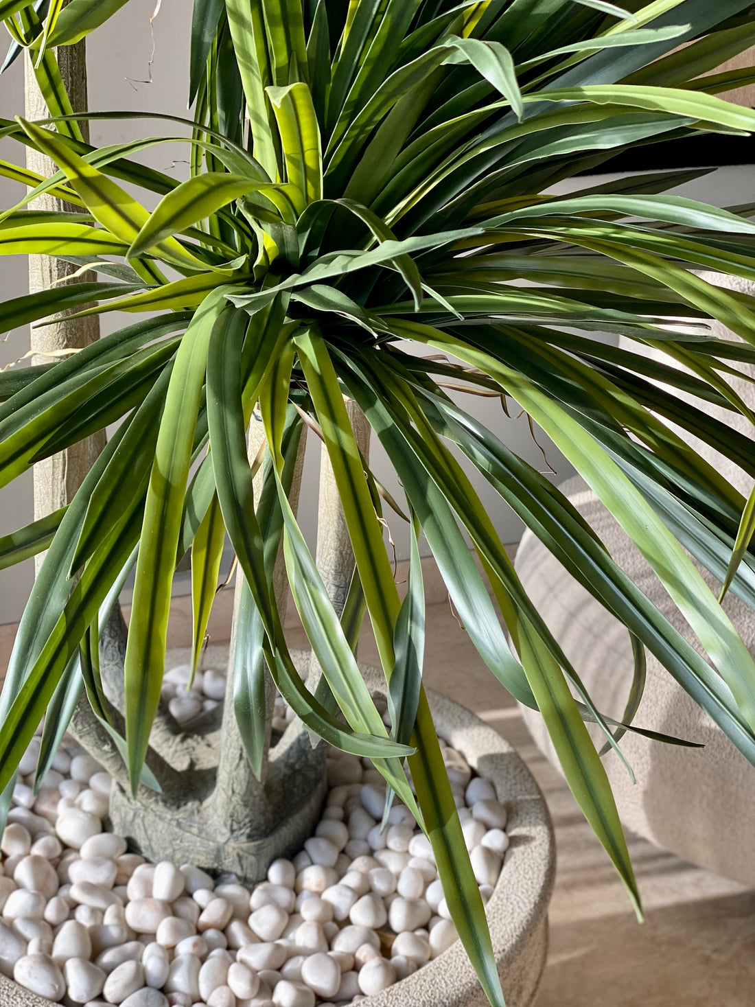 Artificial Dragon Quintara Plant - 7 Feet