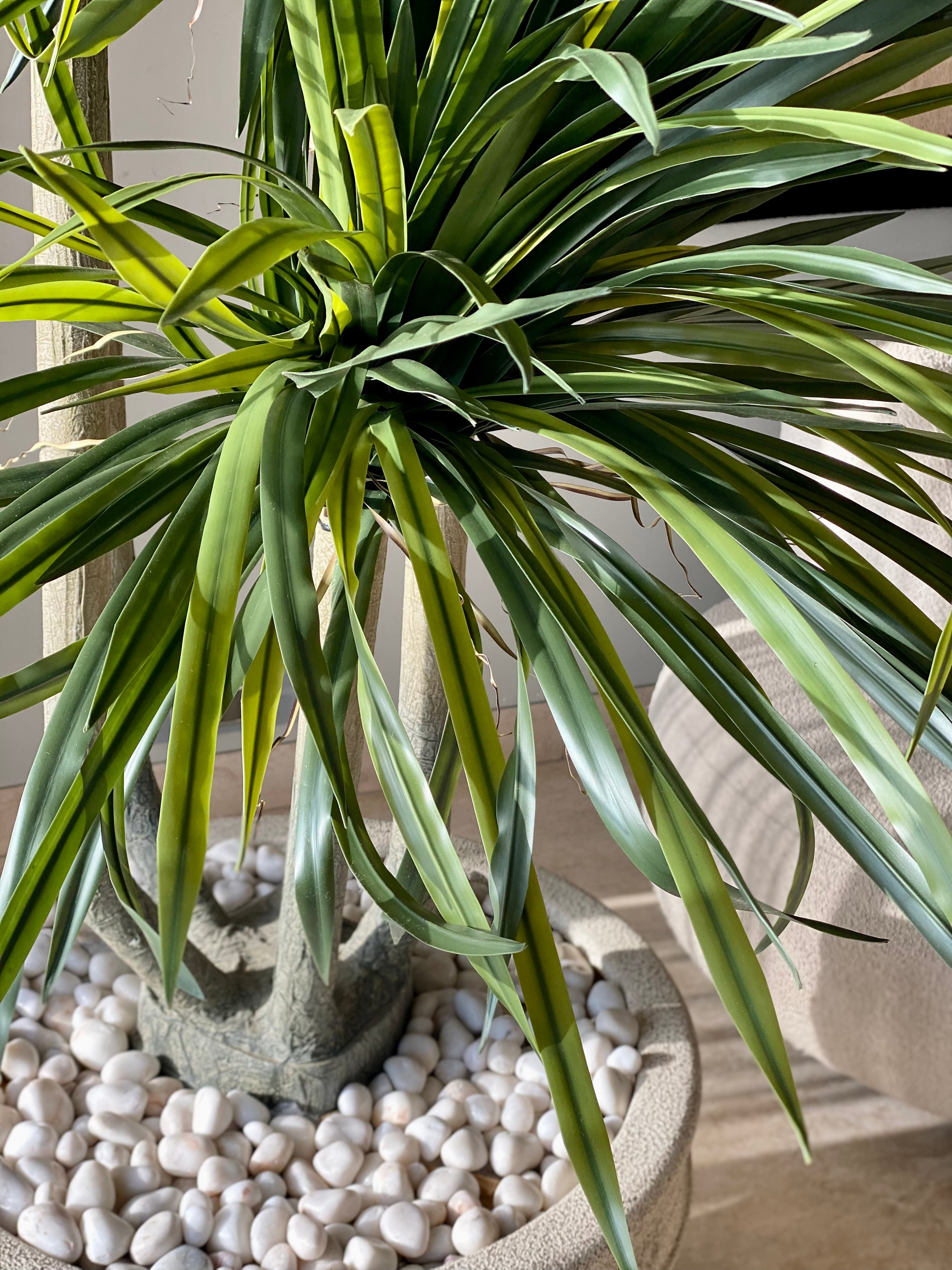 Artificial Dragon Quintara Plant - 7 Feet