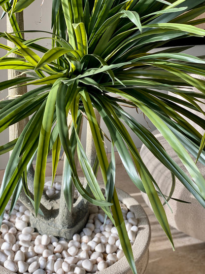 Artificial Dragon Quintara Plant - 7 Feet