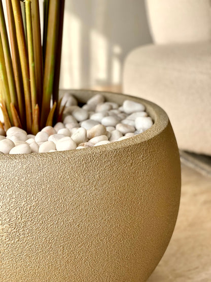 Lithos Tan Khaki Planters