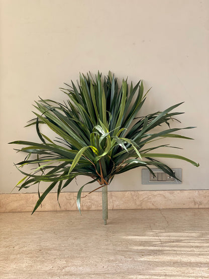 Artificial Dragon Quintara Plant - 7 Feet