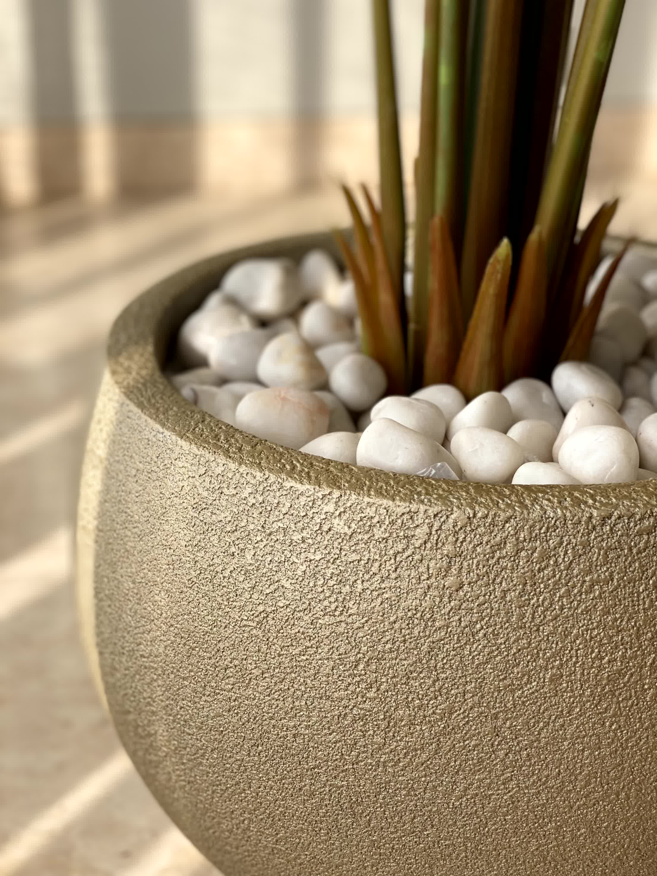 Lithos Tan Khaki Planters