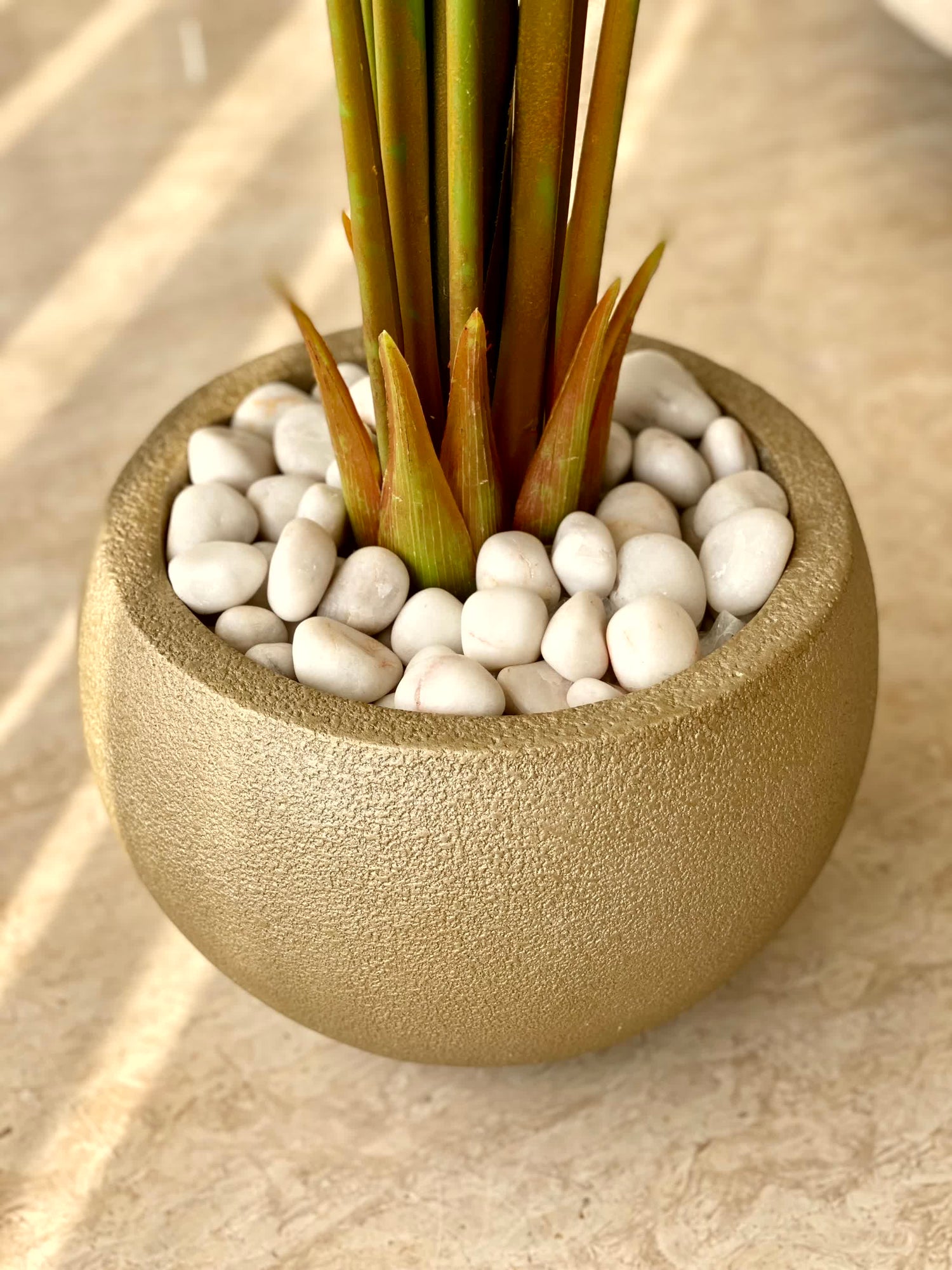 Lithos Tan Khaki Planters