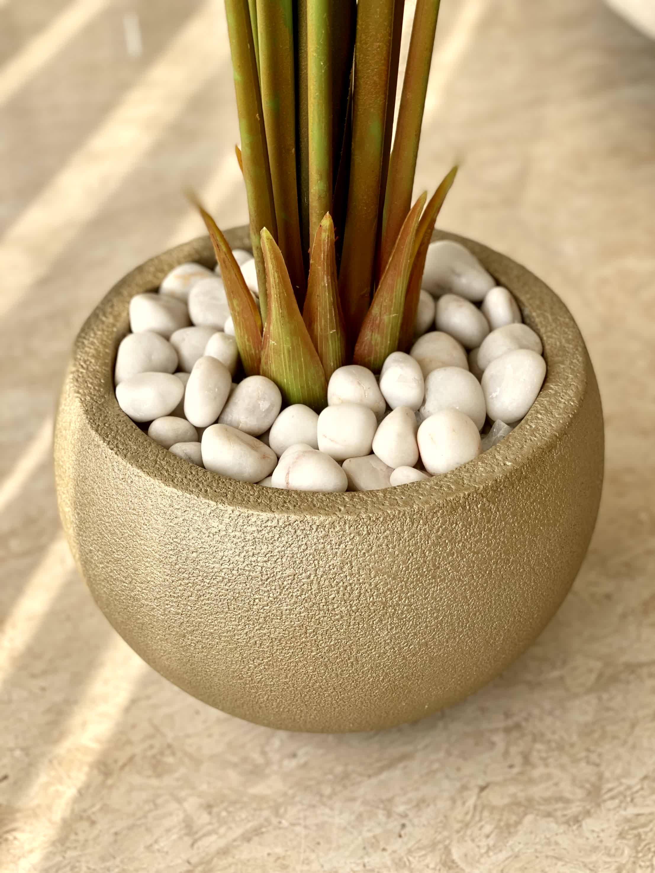 Lithos Tan Khaki Planters