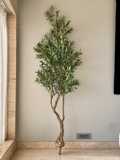 Artificial Olive Serene Plant - 7 Feet