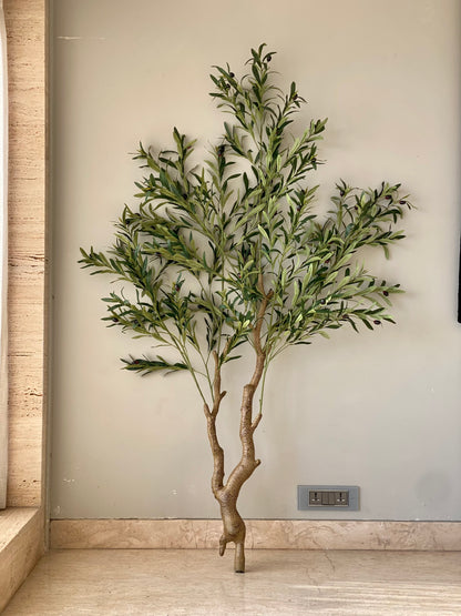 Artificial Olive Serene Plant - 6 Feet