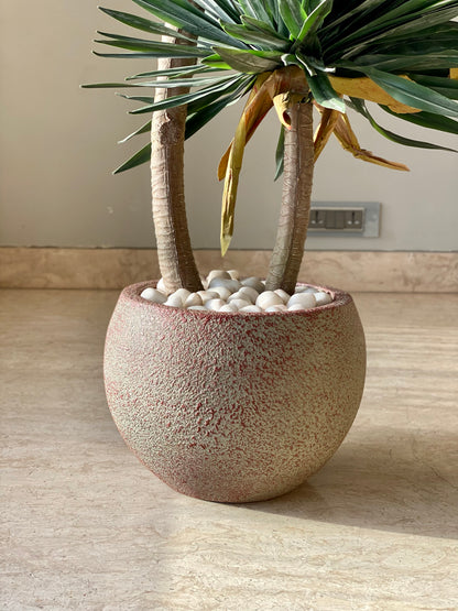 Artificial Sisal Duo Plant - 4 Feet