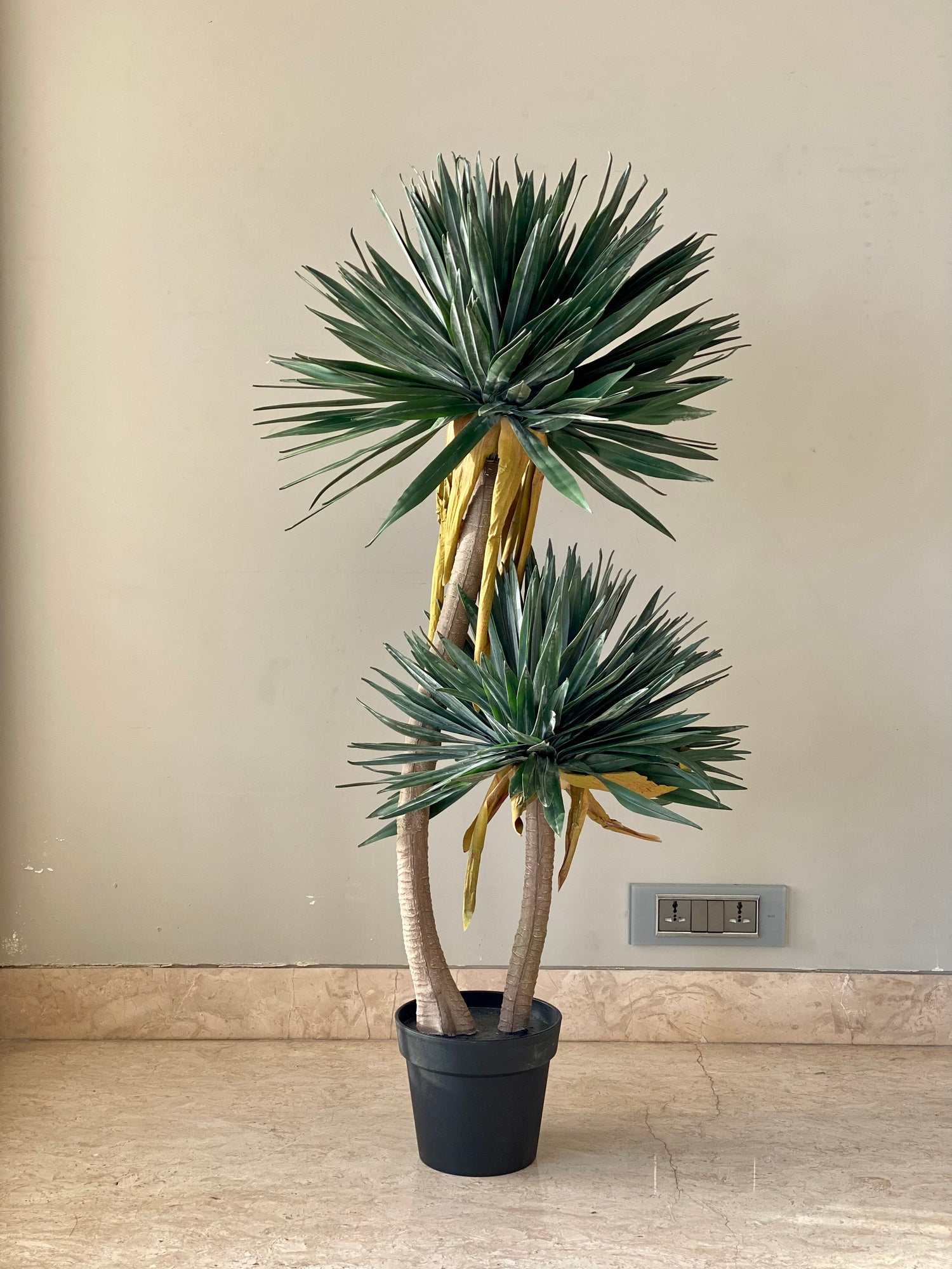 Artificial Sisal Duo Plant - 4 Feet