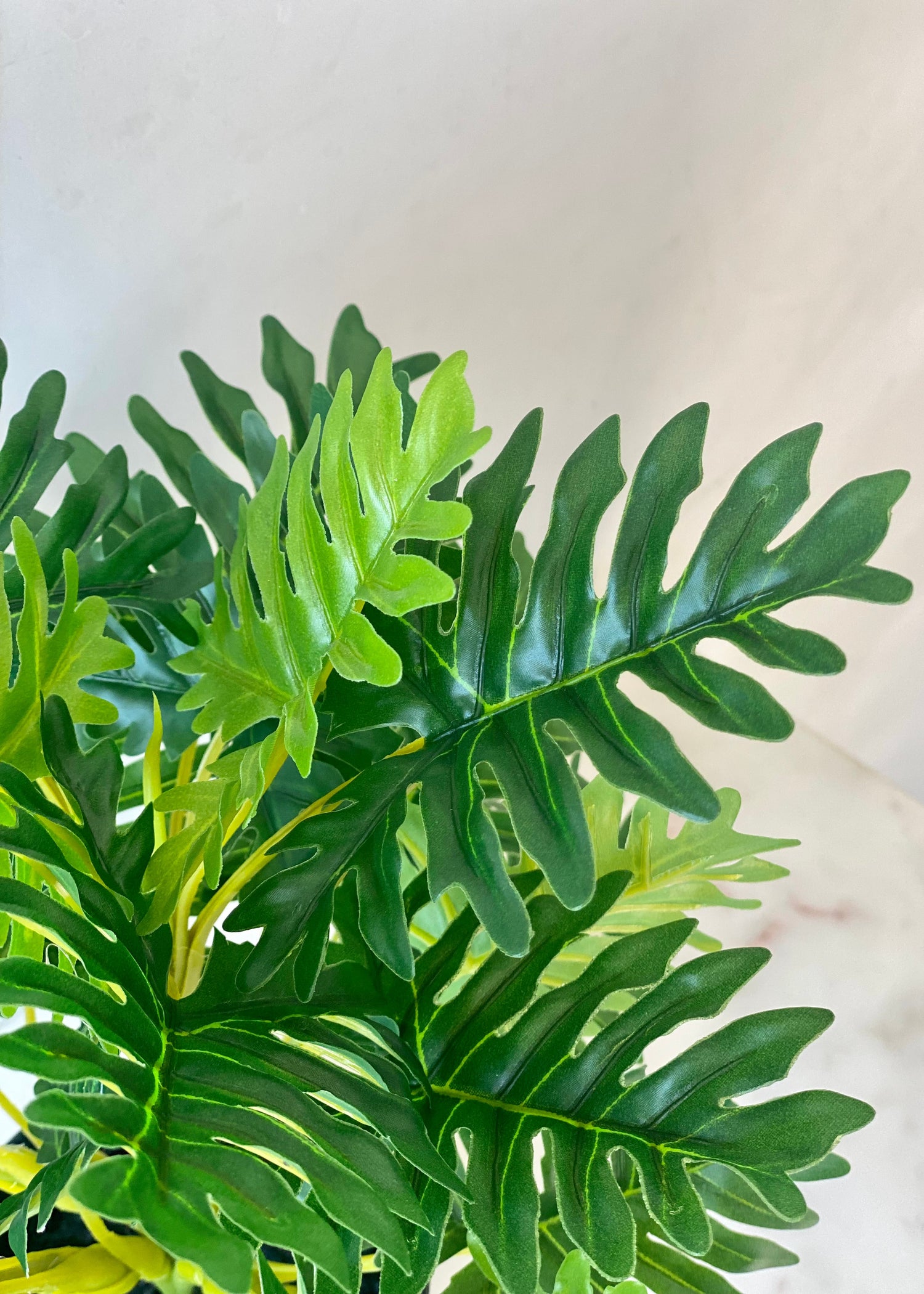 Artificial Bachia Schefflera Plant - 1 Feet