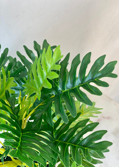 Artificial Bachia Schefflera Plant - 1 Feet