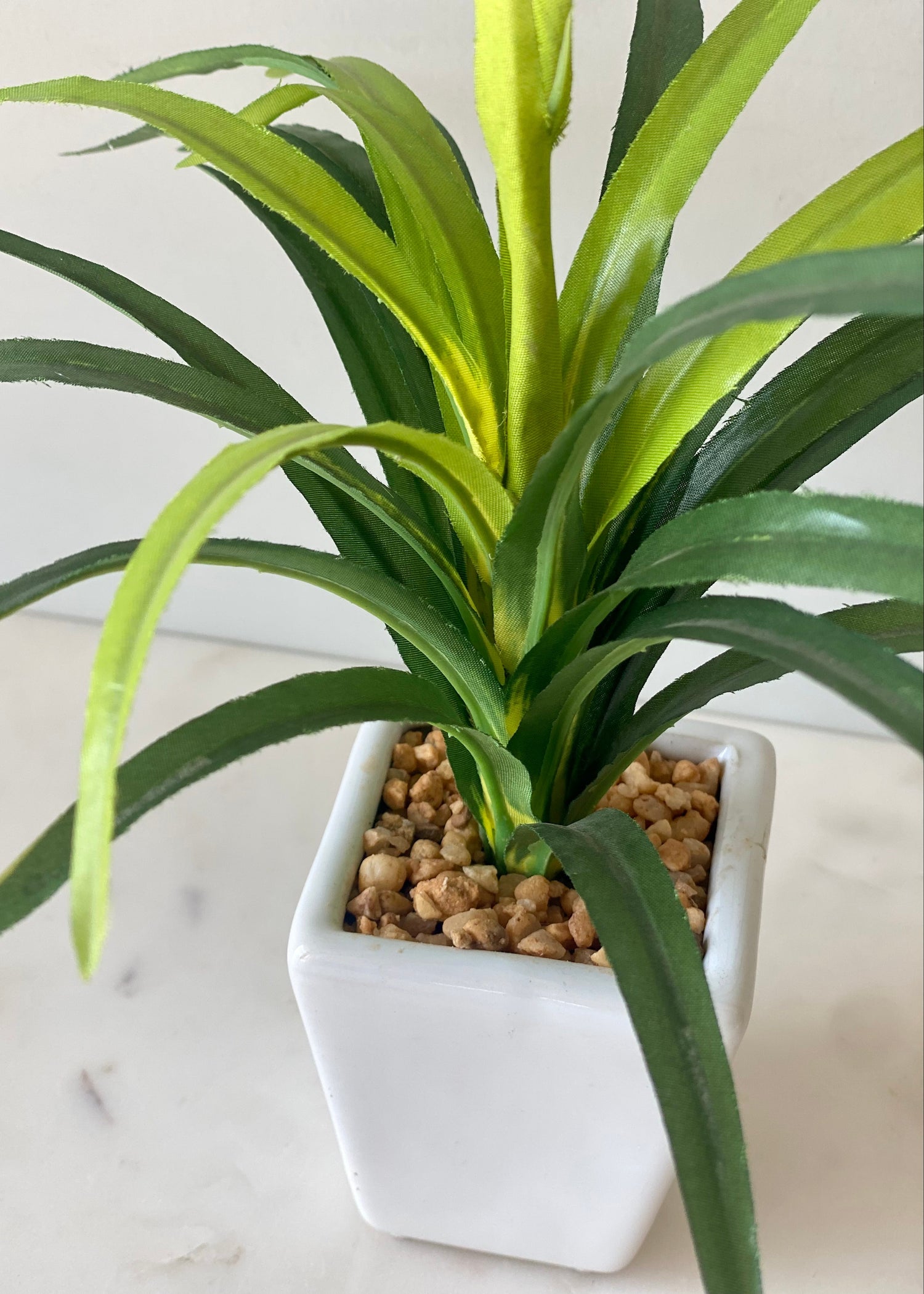 Artificial Tabletop Dracaena Plant