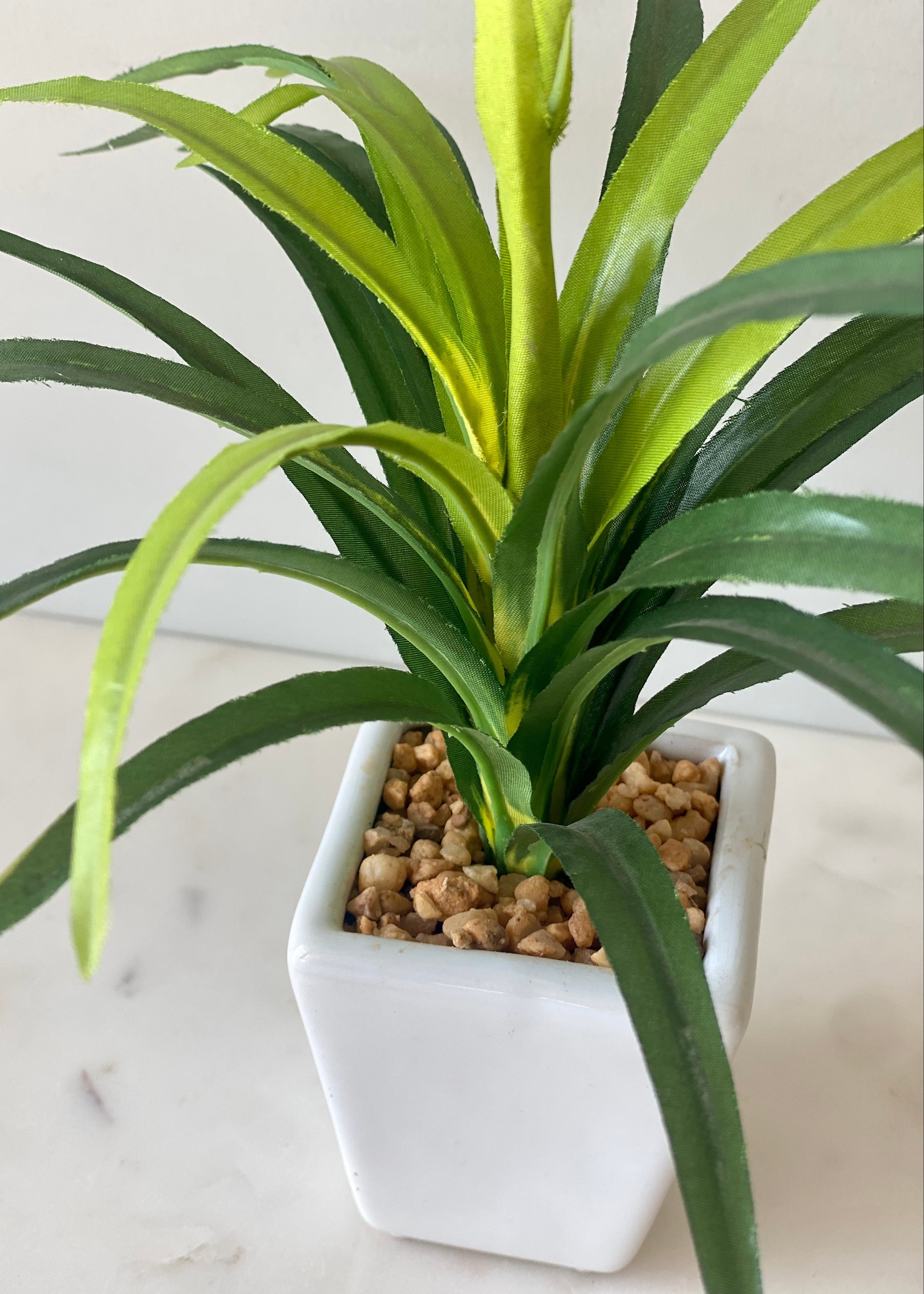 Artificial Tabletop Dracaena Plant