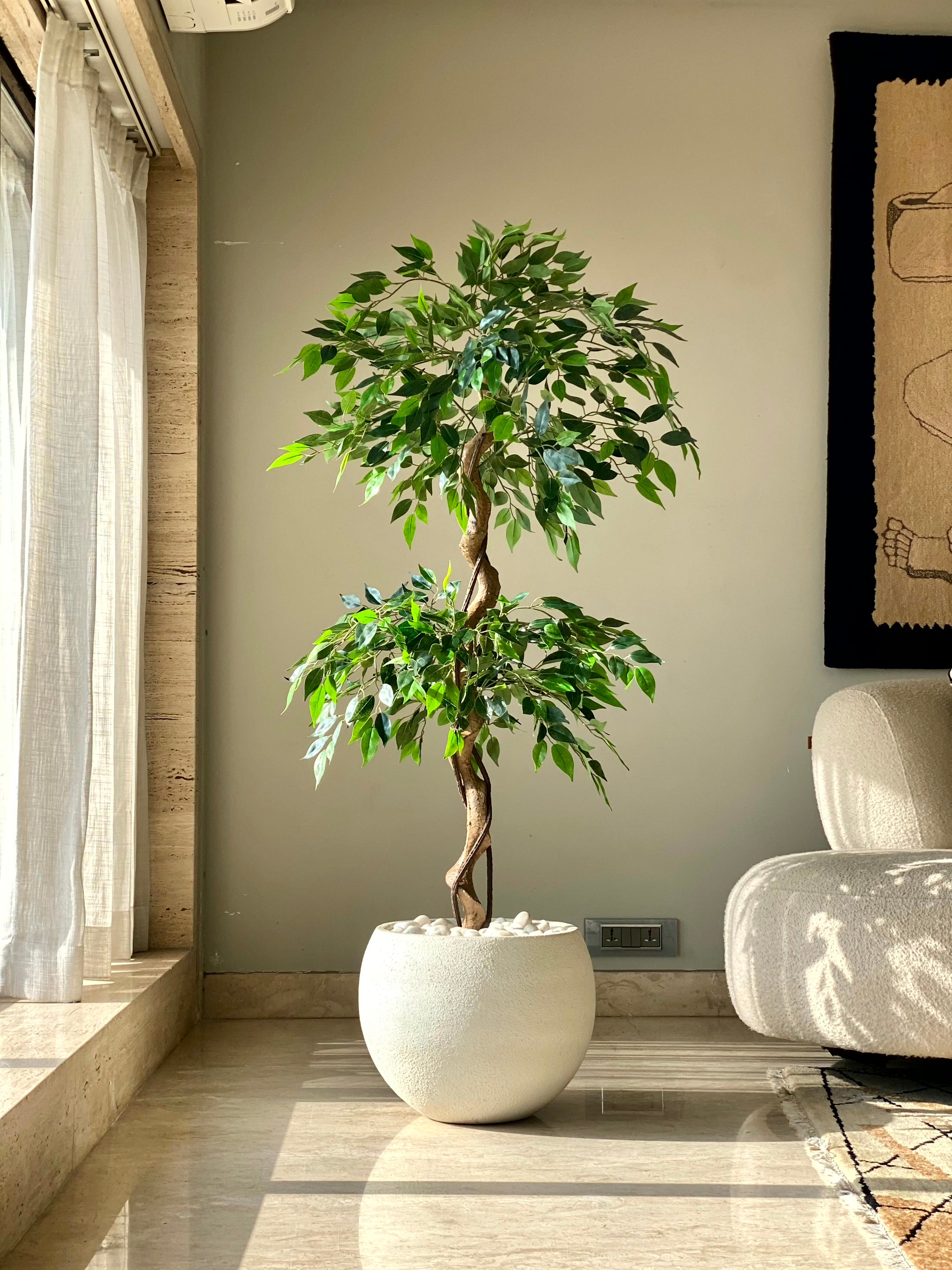Artificial Cascading Ficus Topiary Plant - 5 Feet
