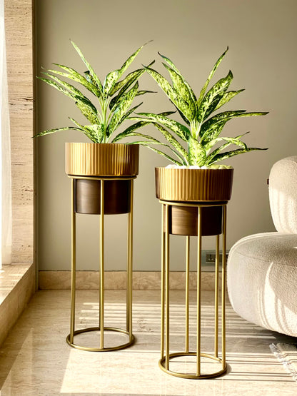 Artificial Chinese Evergreen Plant - 2 Feet (Set Of 2)