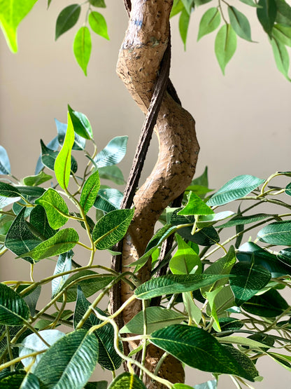 Artificial Cascading Ficus Topiary Plant - 5 Feet