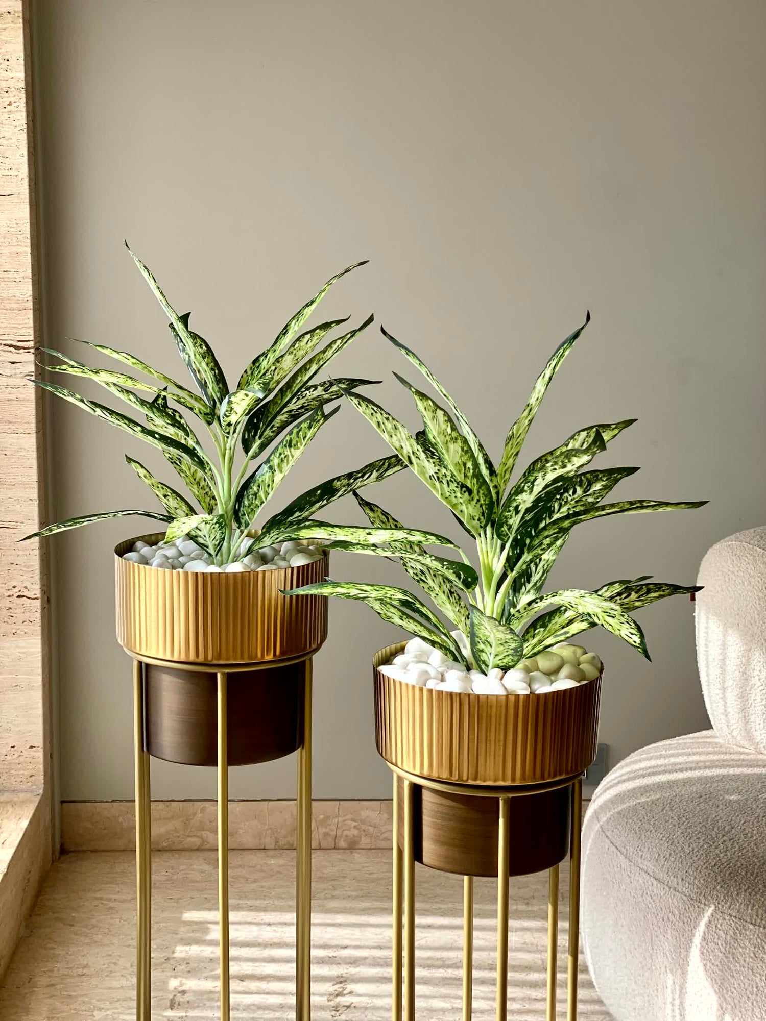 Artificial Chinese Evergreen Plant - 2 Feet (Set Of 2)