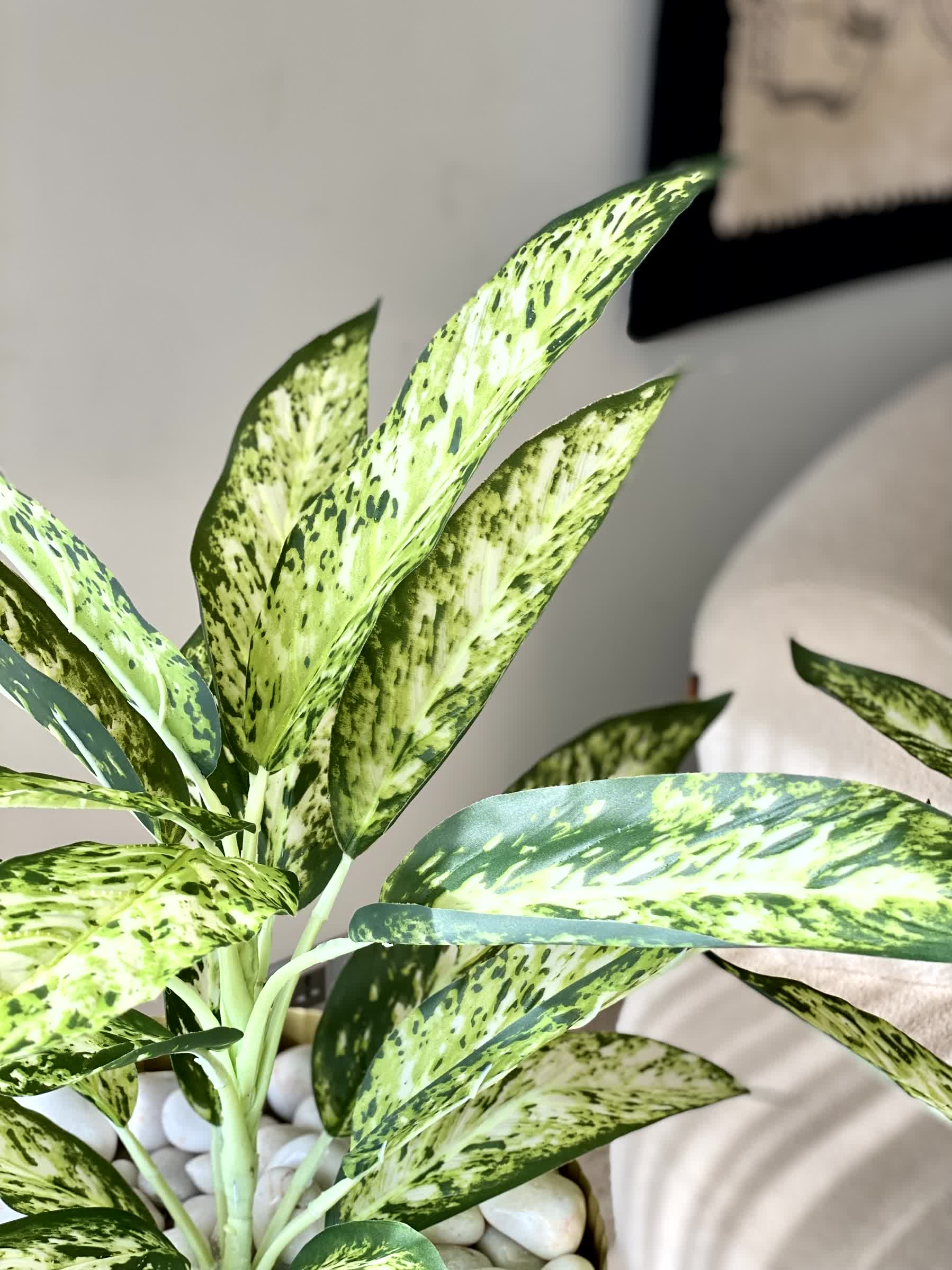 Artificial Chinese Evergreen Plant - 2 Feet (Set Of 2)