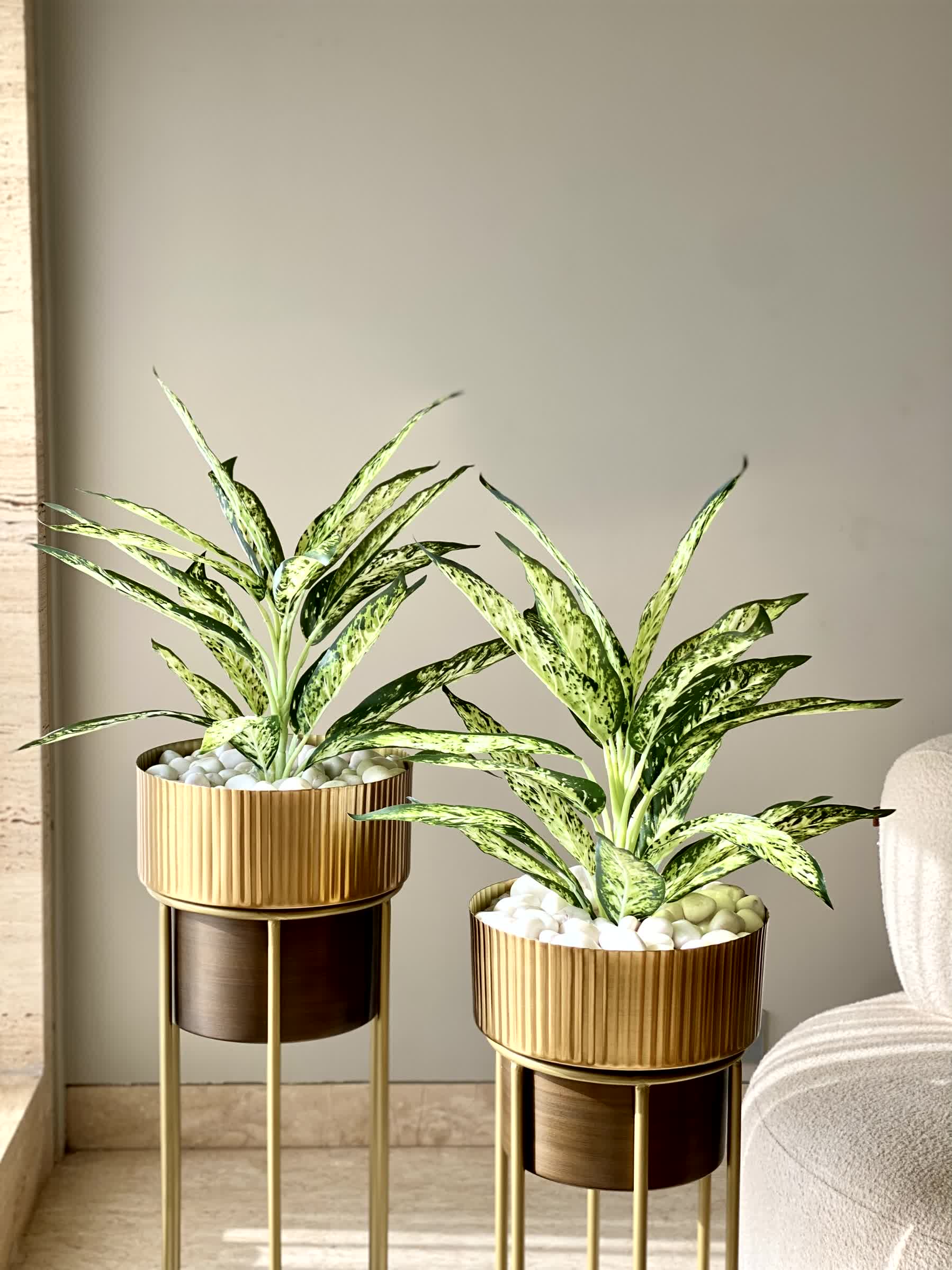 Artificial Chinese Evergreen Plant - 2 Feet (Set Of 2)