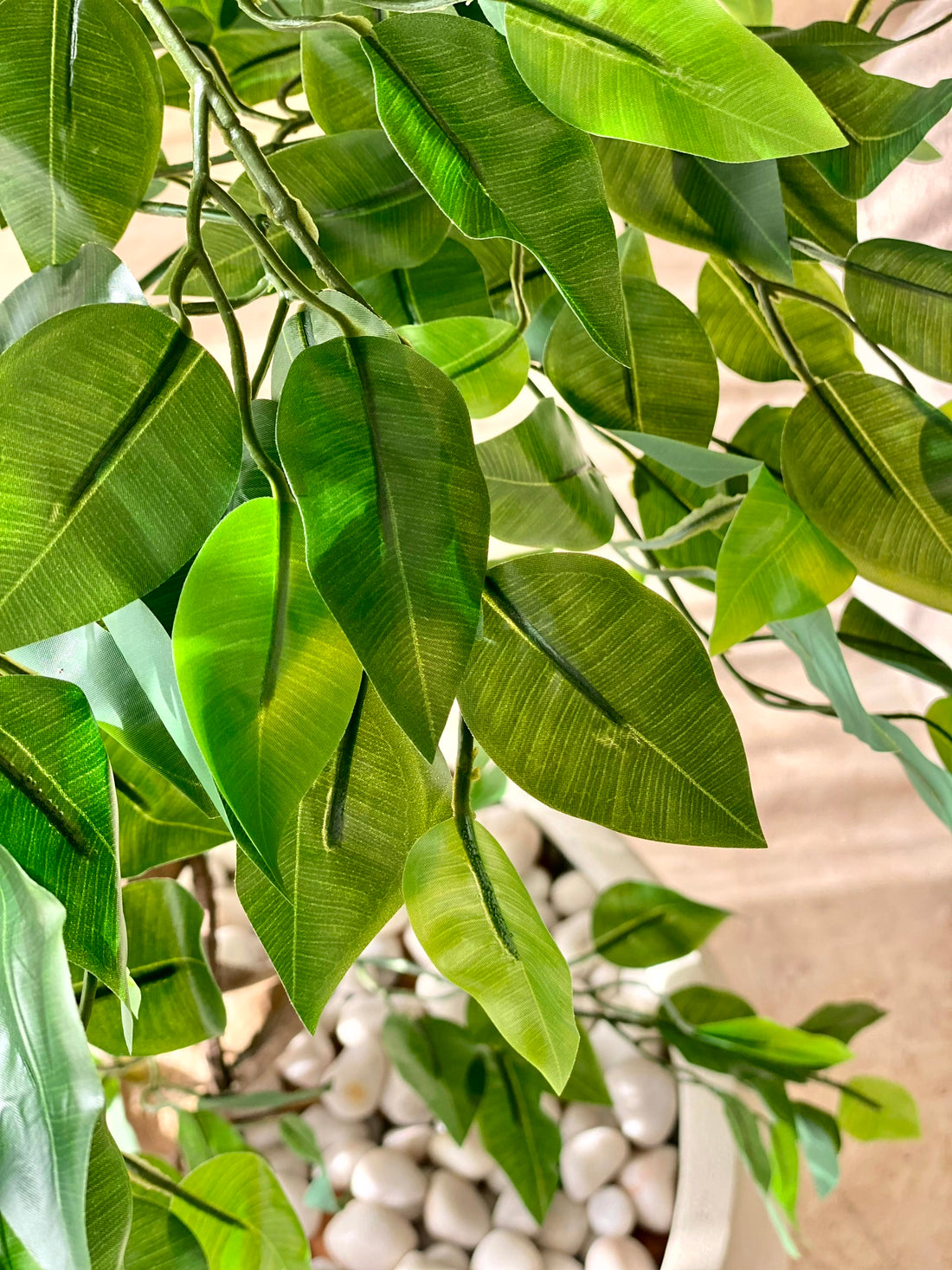 Artificial Cascading Ficus Topiary Plant - 6 Feet