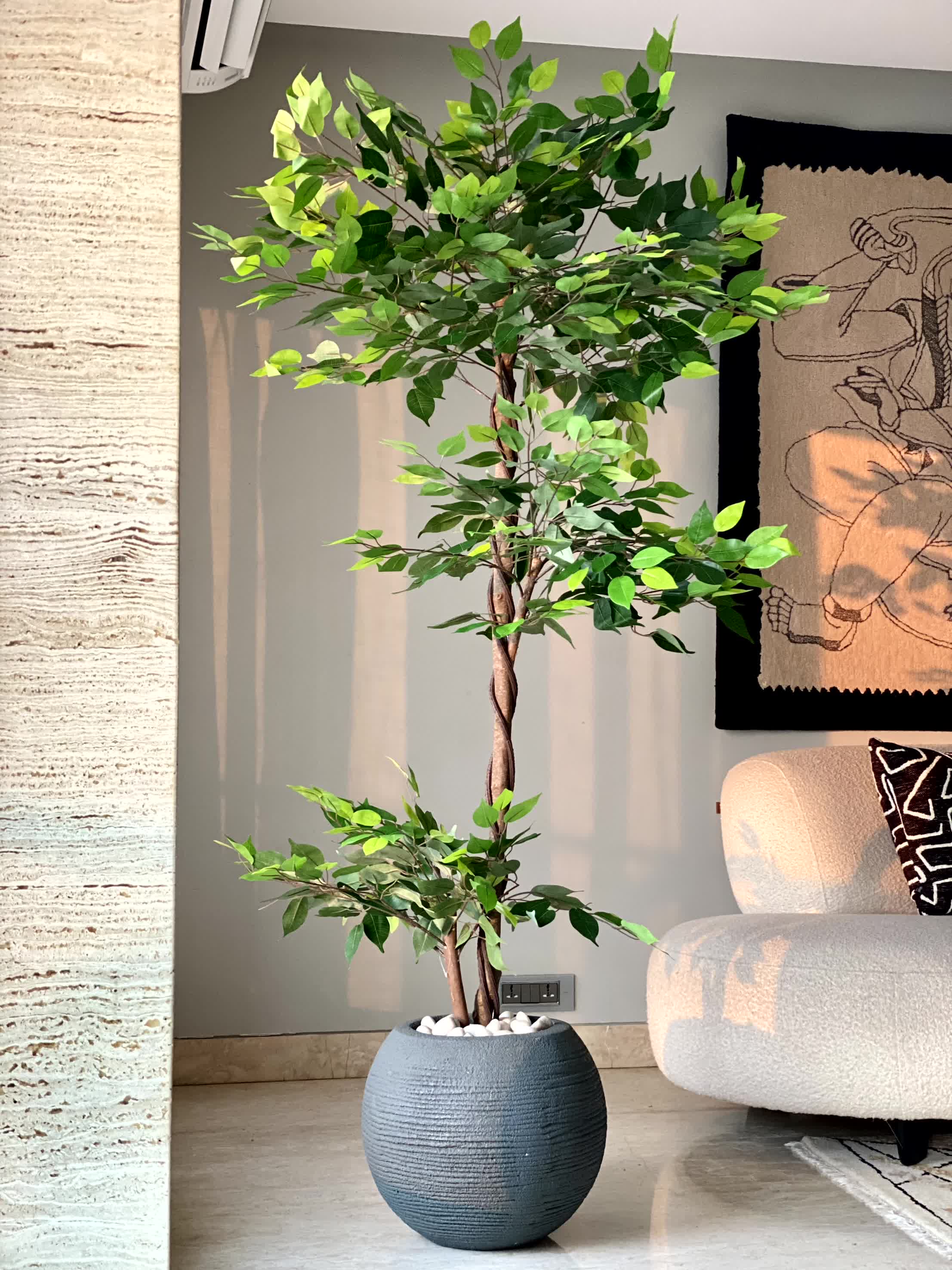 Artificial Bonsai Ficus Plant - 6 Feet