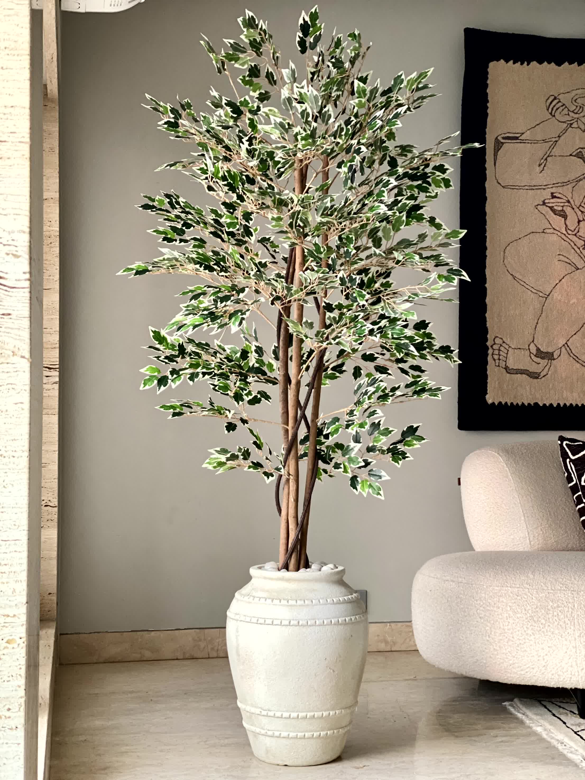 Artificial Dappled Ficus Plant - 5.5 Feet