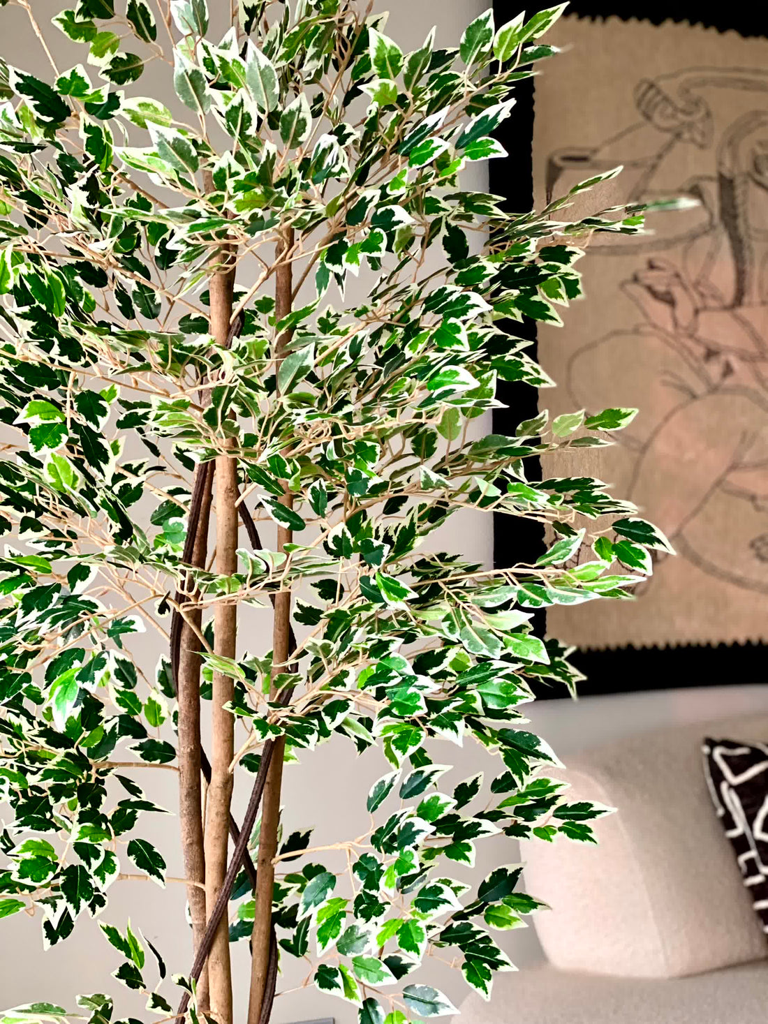 Artificial Dappled Ficus Plant - 5.5 Feet