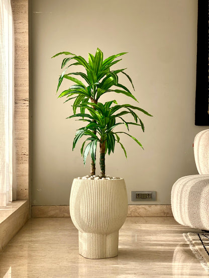 Artificial Layered Dracaena Plant - 3.3 Feet