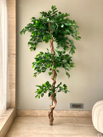 Artificial Cascading Ficus Topiary Plant - 6 Feet