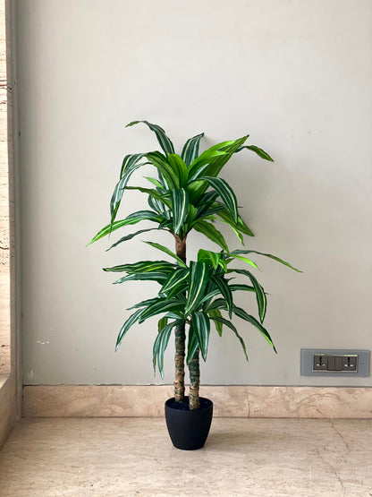 Artificial Layered Dracaena Plant - 3.3 Feet