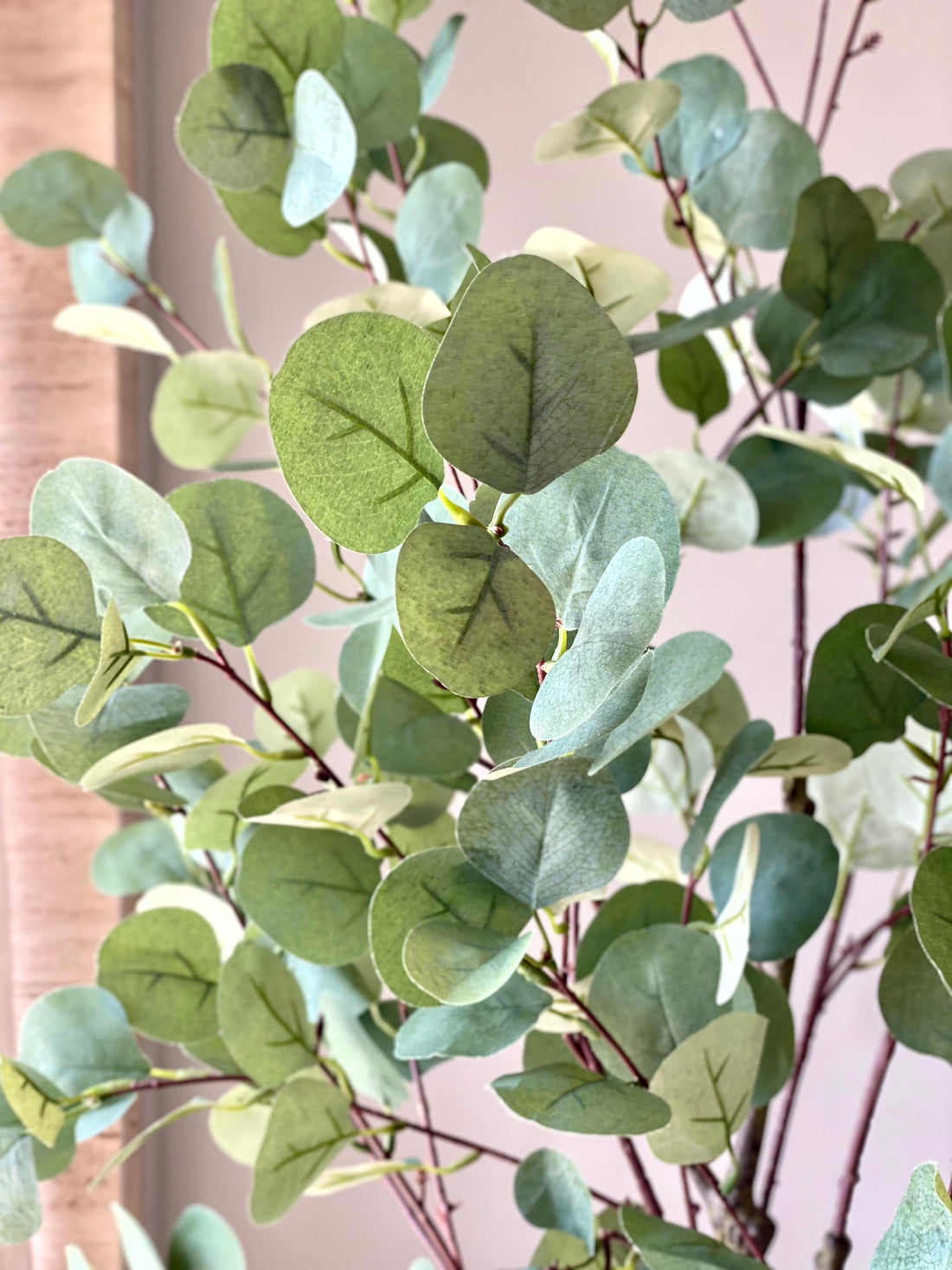 Artificial Eucalyptus Plant - 4 Feet