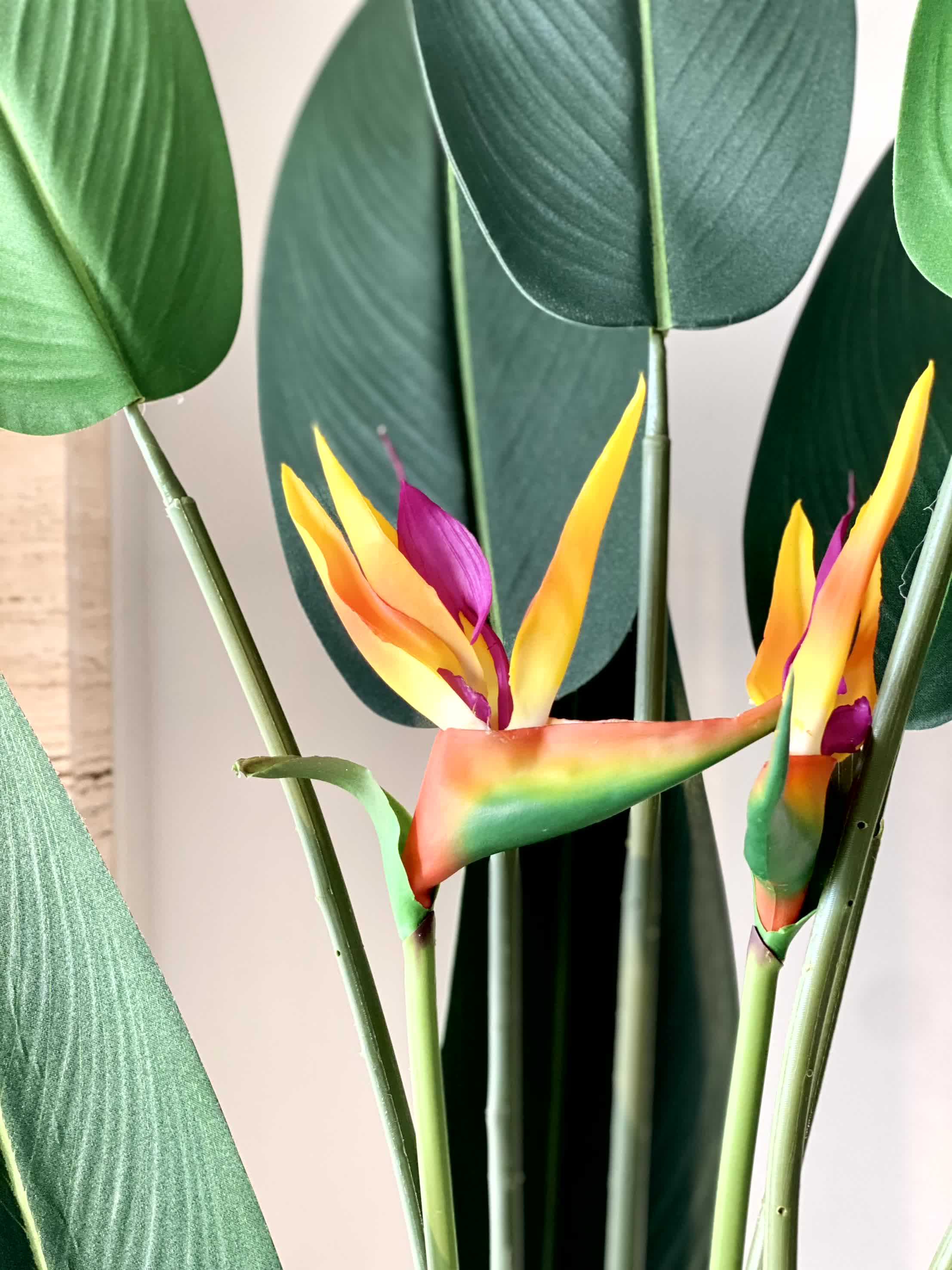 Artificial Strelitzia Plant - 5 Feet