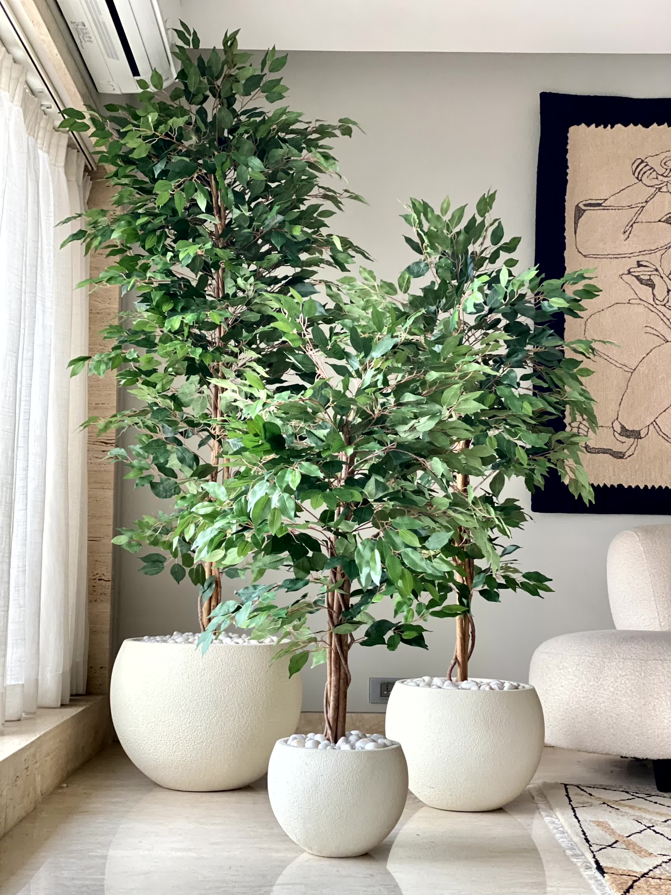 Artificial Weeping Ficus Plant - 7 Feet