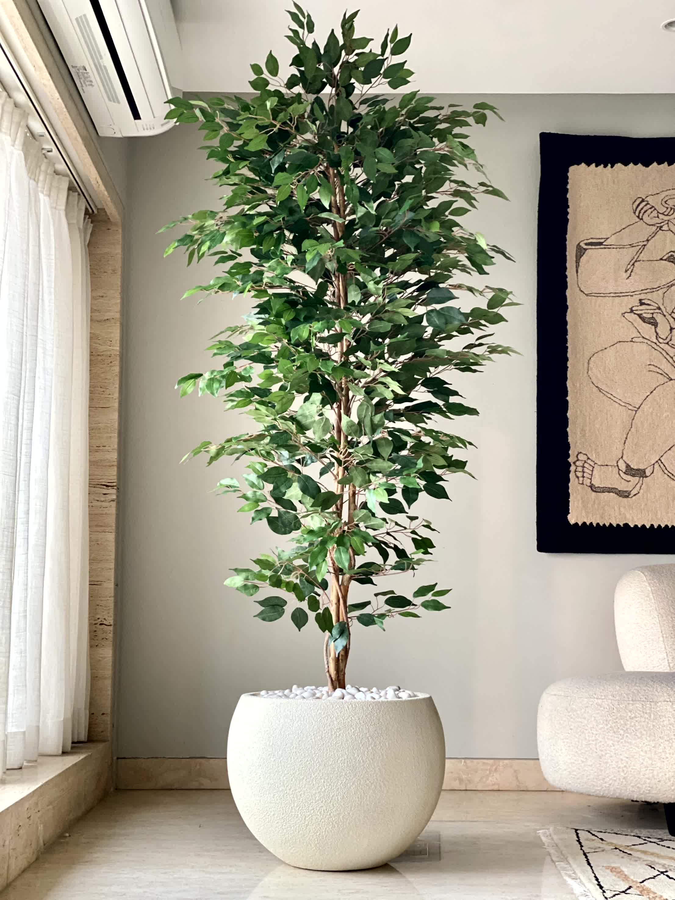 Artificial Weeping Ficus Plant - 7 Feet