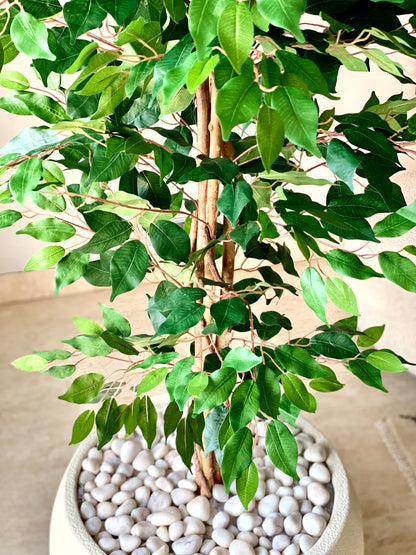 Artificial Weeping Ficus Plant - 7 Feet