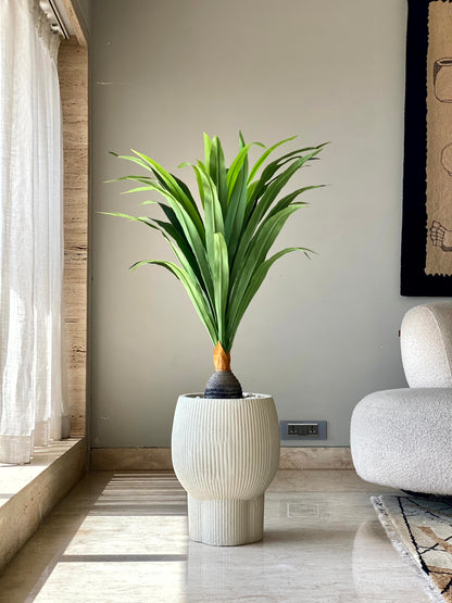 Artificial Bottel Dracenna Plant - 4 Feet