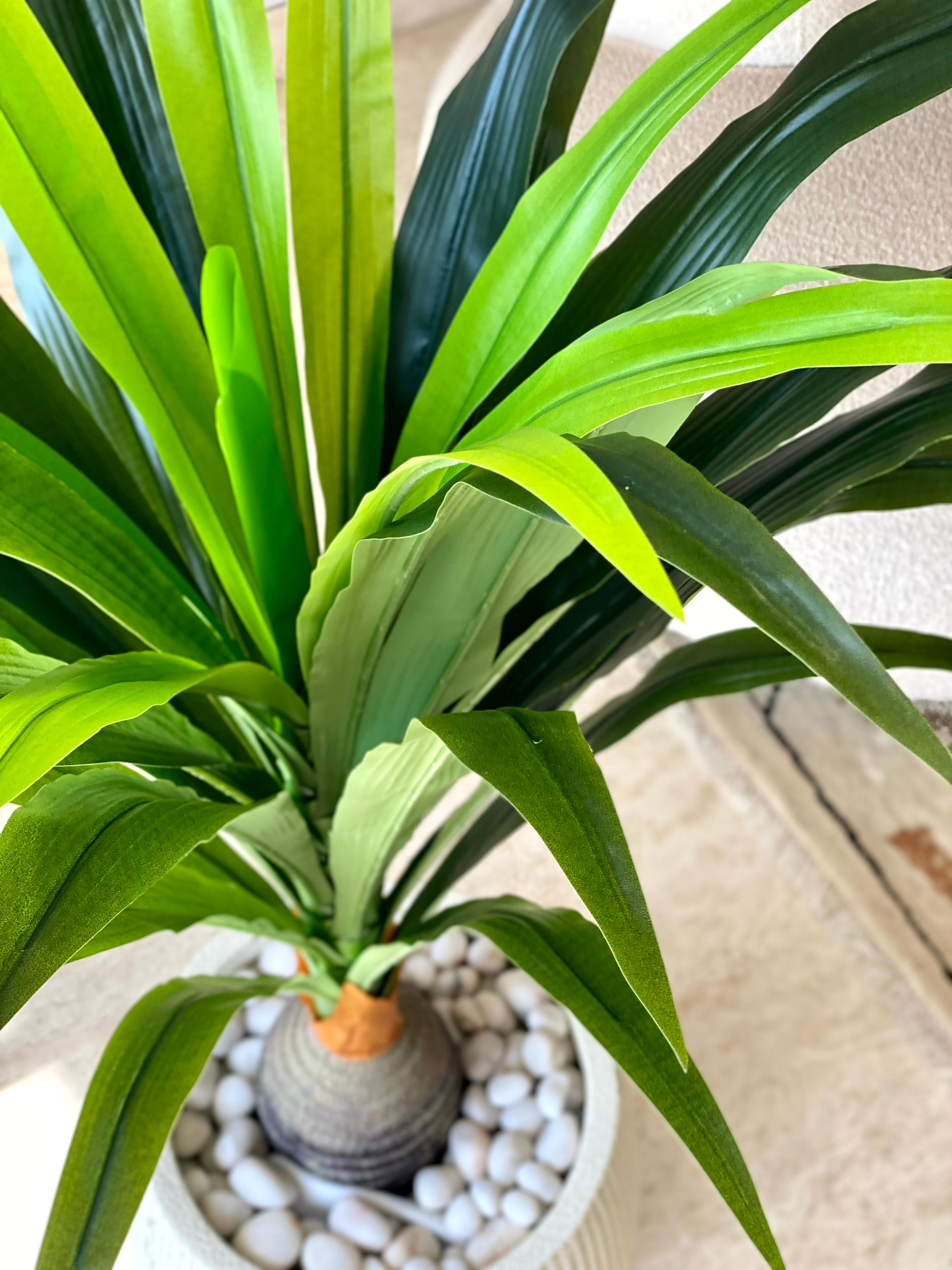 Artificial Bottel Dracenna Plant - 4 Feet
