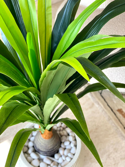 Artificial Bottel Dracenna Plant - 4 Feet