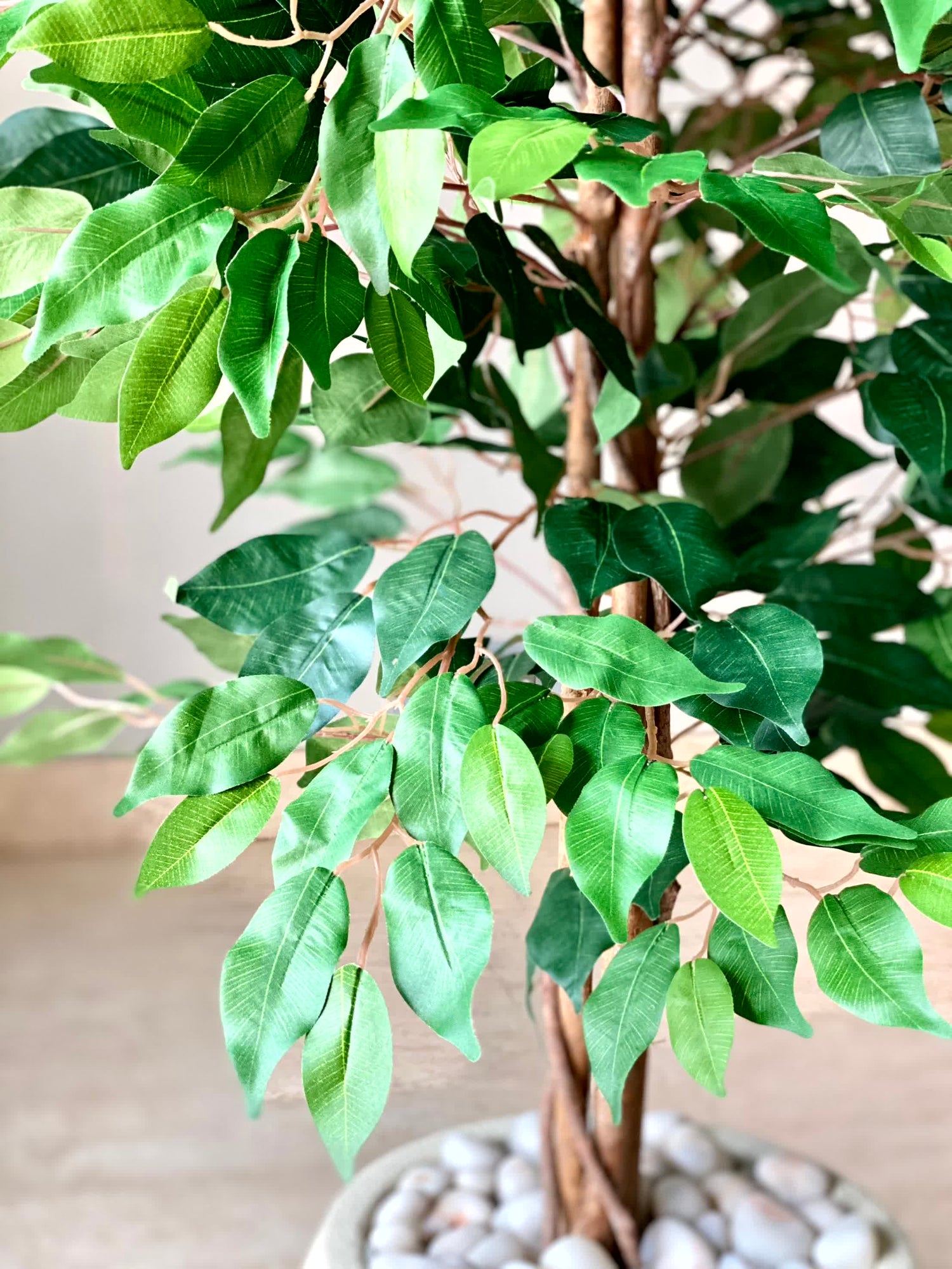 Artificial Weeping Ficus Plant - 4 Feet