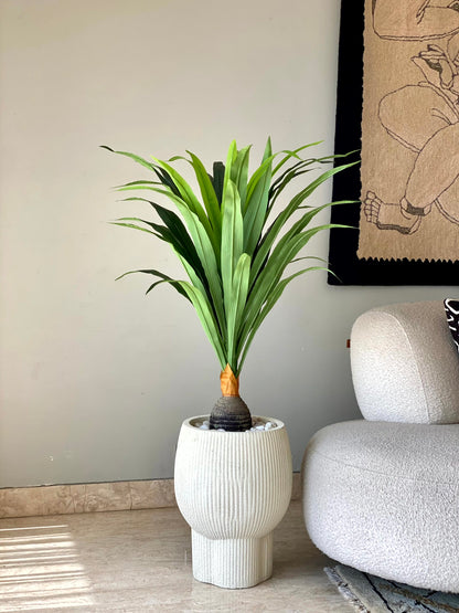 Artificial Bottel Dracenna Plant - 4 Feet
