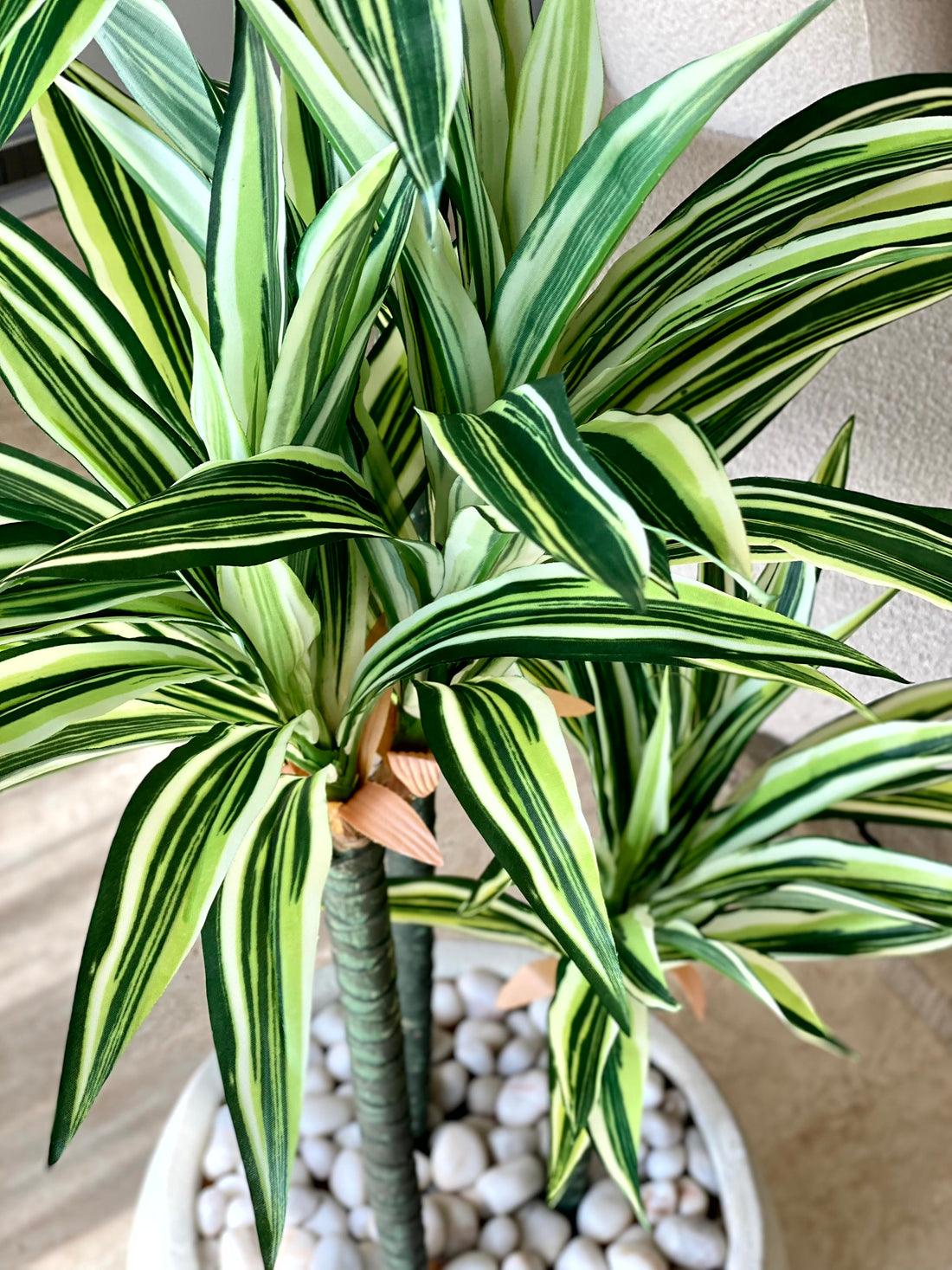 Artificial Natura Dracaena Plant - 5 Feet