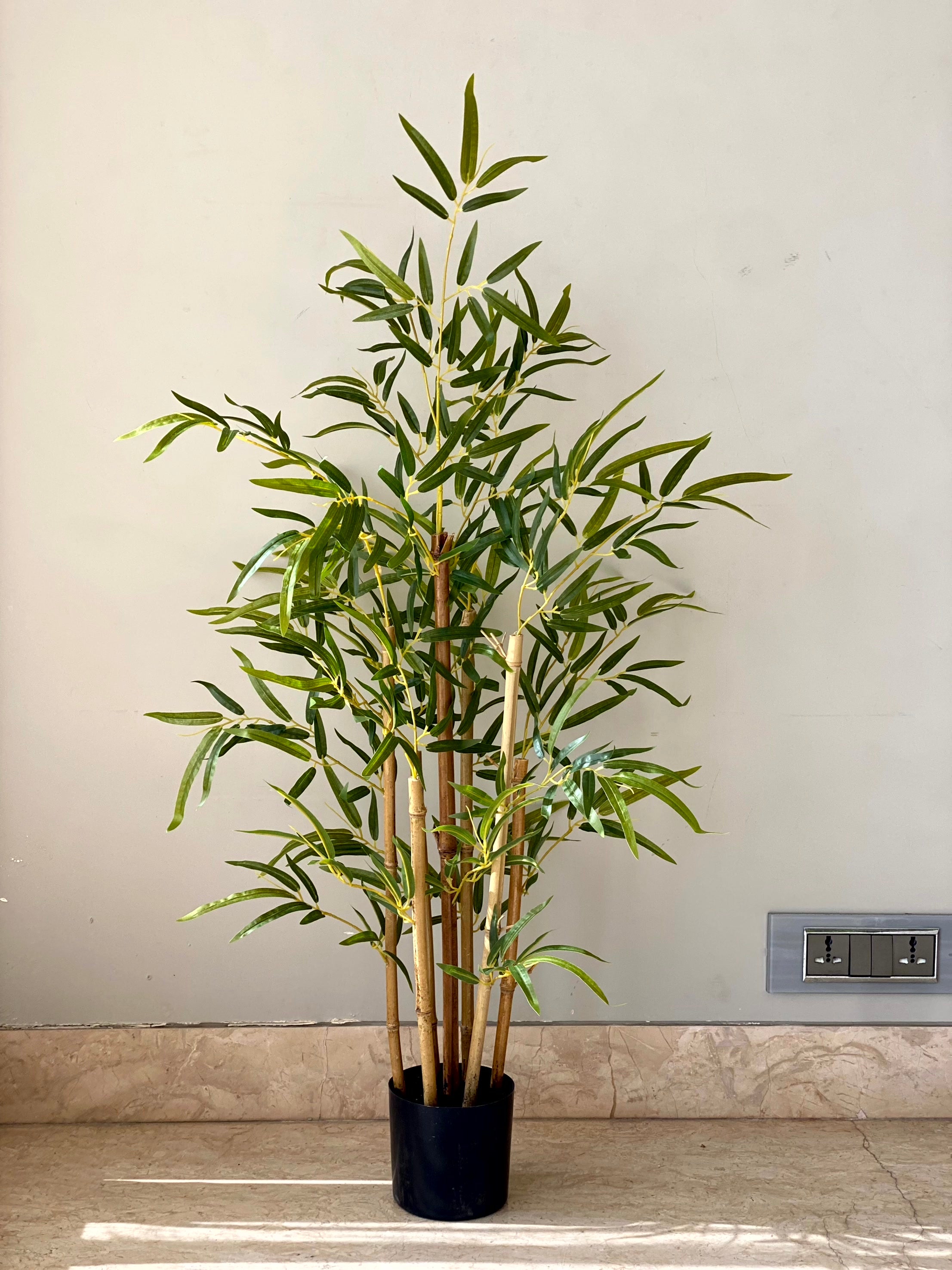 Artificial Statement Bamboo Plant - 3 Feet