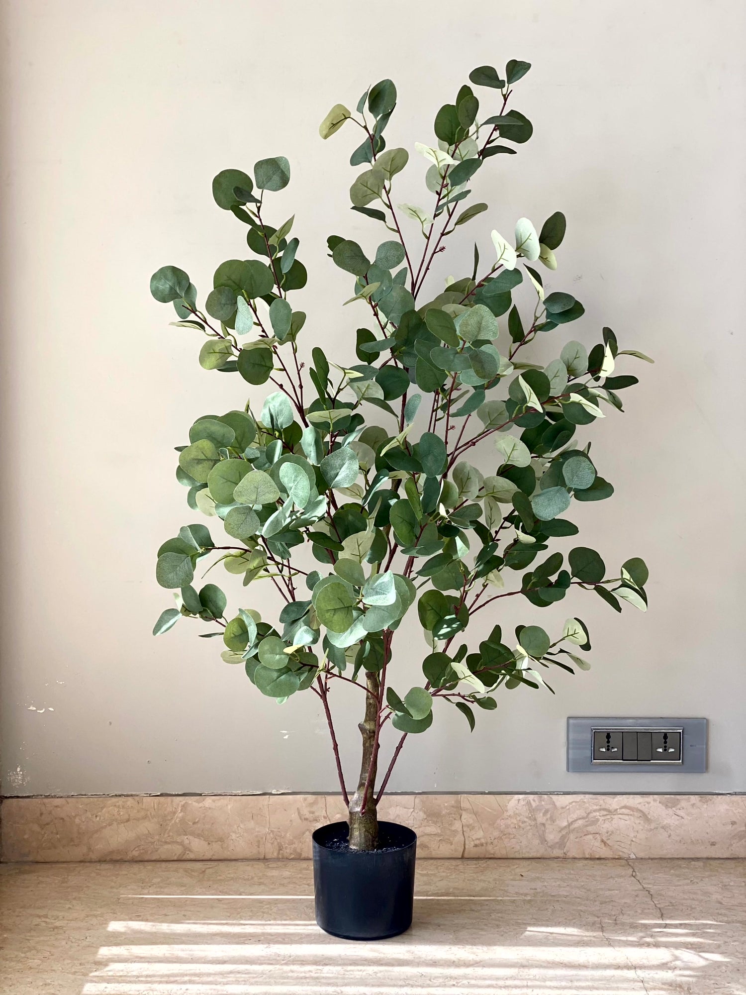 Artificial Eucalyptus Plant - 4 Feet