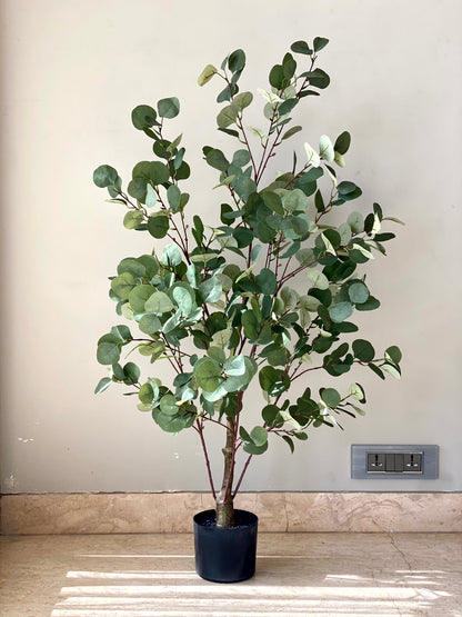 Artificial Eucalyptus Plant - 4 Feet