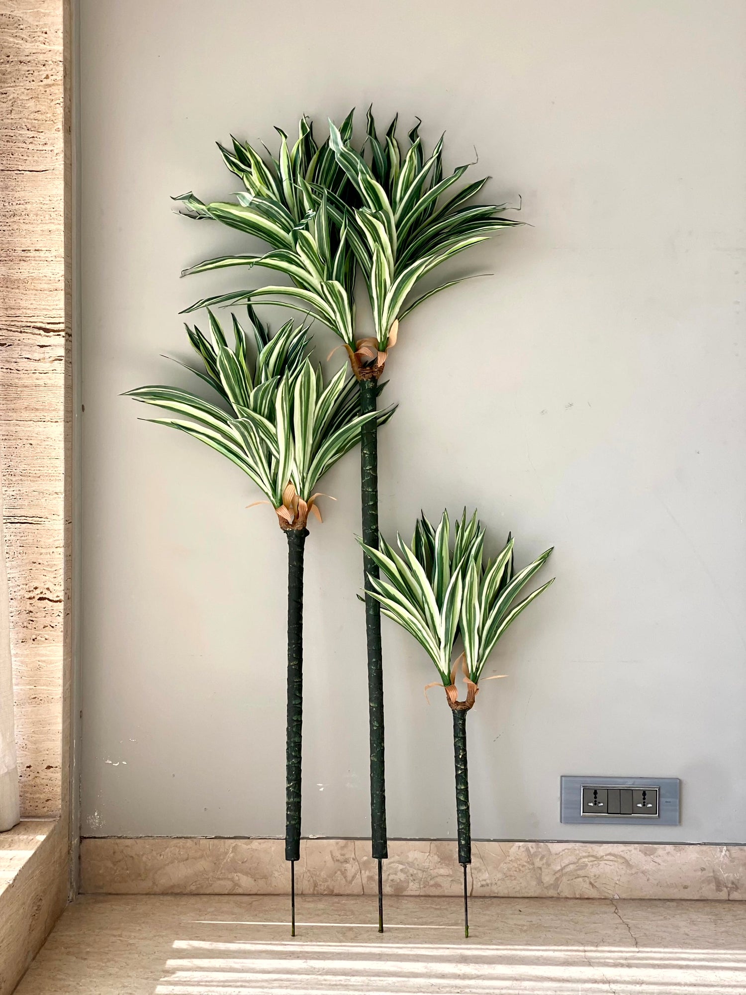 Artificial Natura Dracaena Plant - 5 Feet