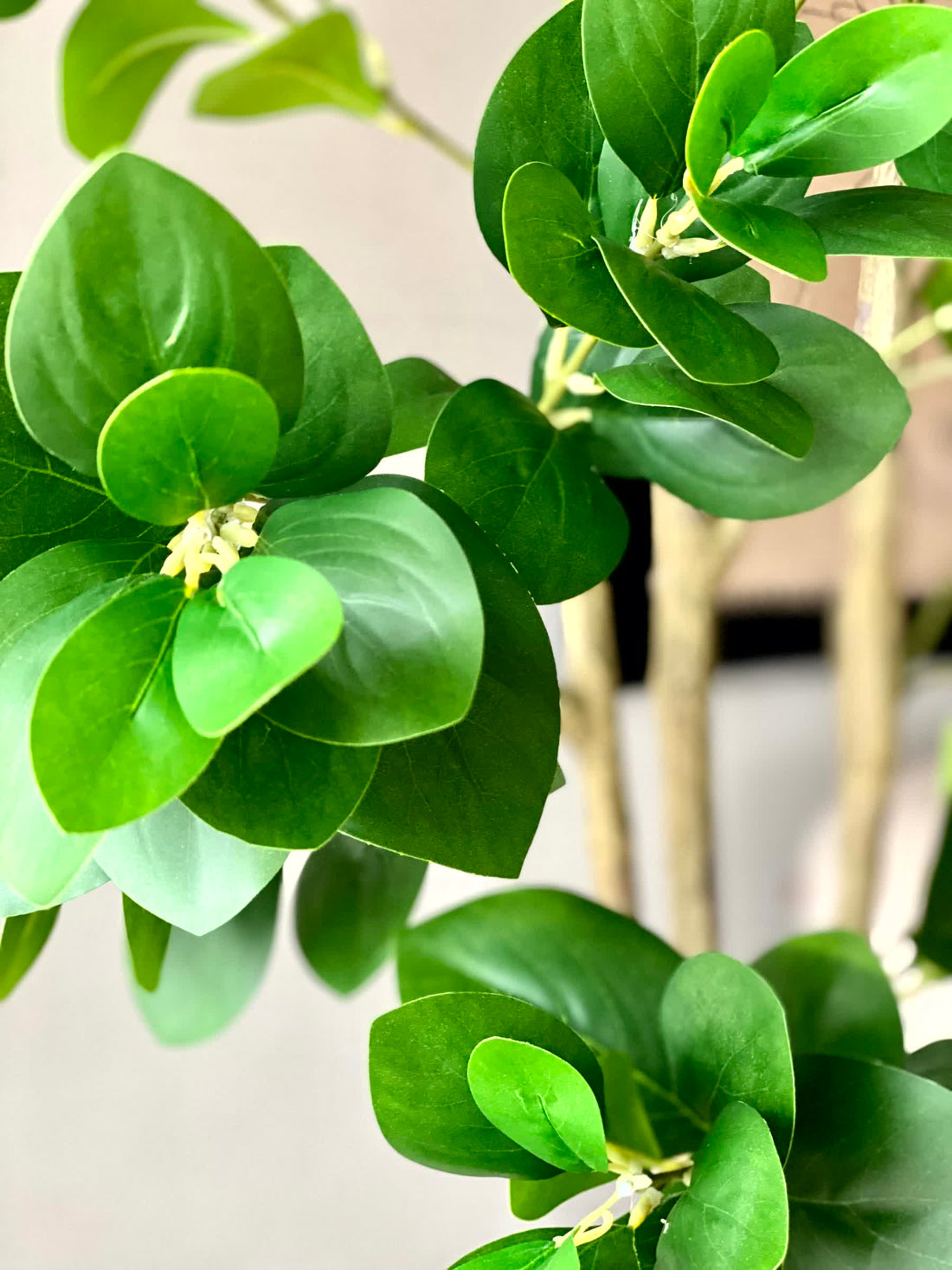 Artificial Wild Peperomia Plant  - 5 Feet