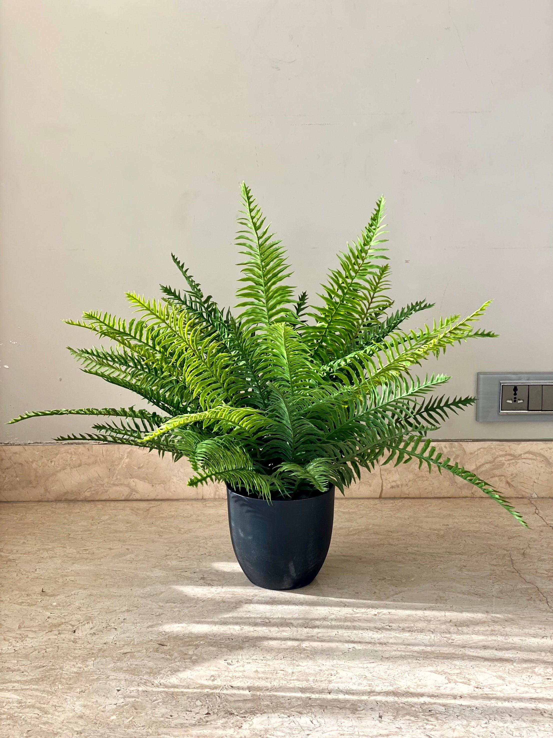 Artificial Tropical Fern Plant - 2 Feet
