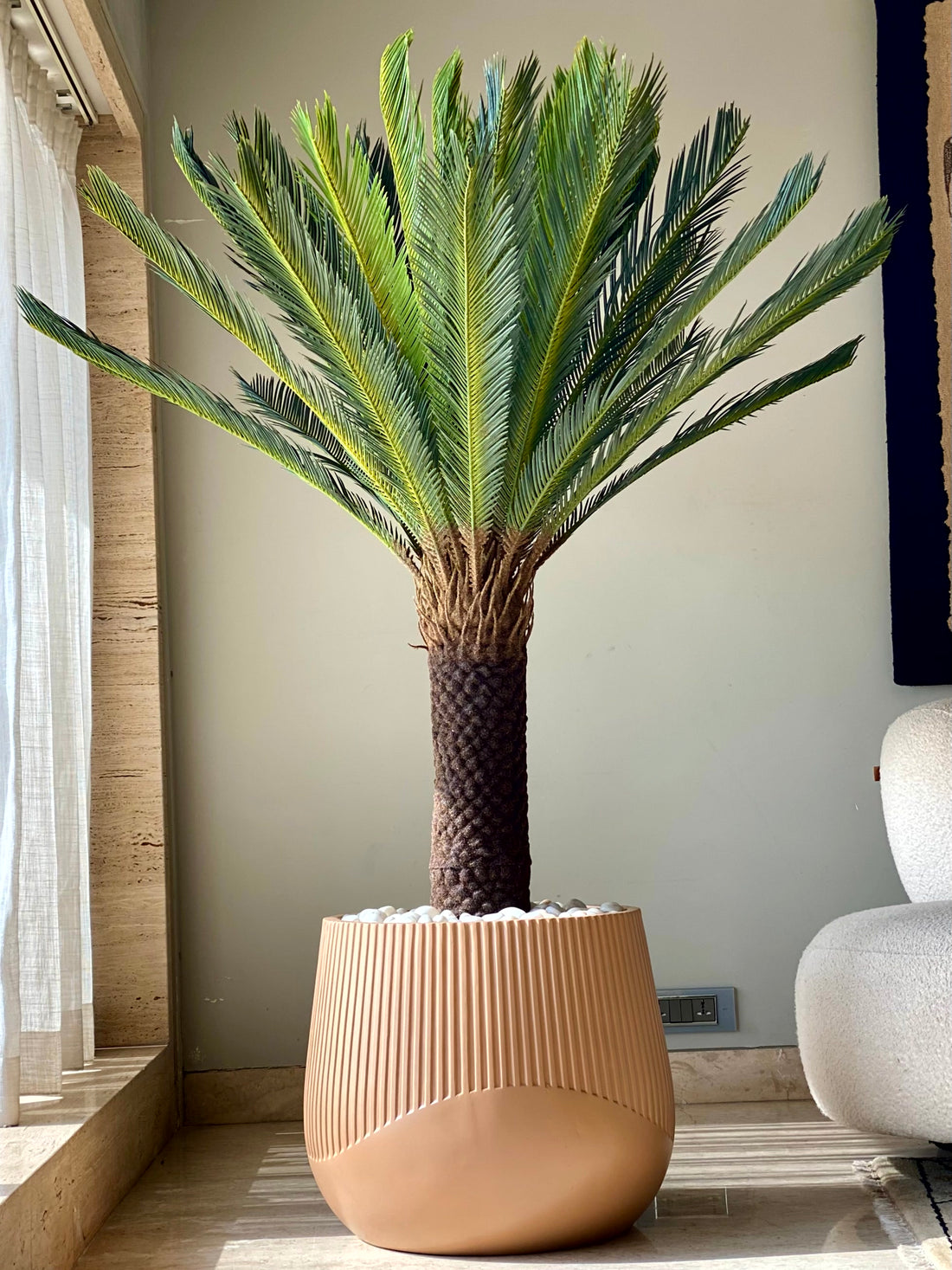 Artificial Sago Cycas Plant - 5 Feet
