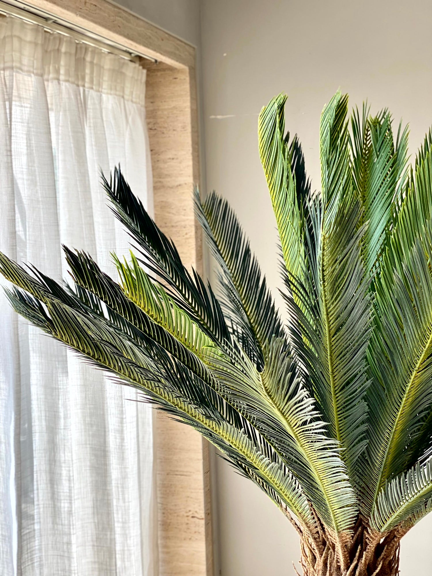 Artificial Sago Cycas Plant - 5 Feet