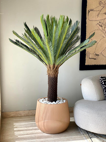 Artificial Sago Cycas Plant - 5 Feet